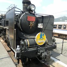 多分クマにしかできない荒技