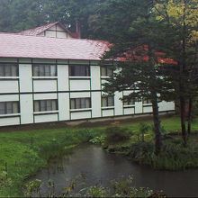 池には温泉の名前の由来の鯉が泳いでます