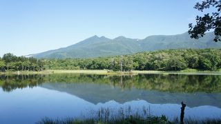 絶対に木道を歩いた方がいい！