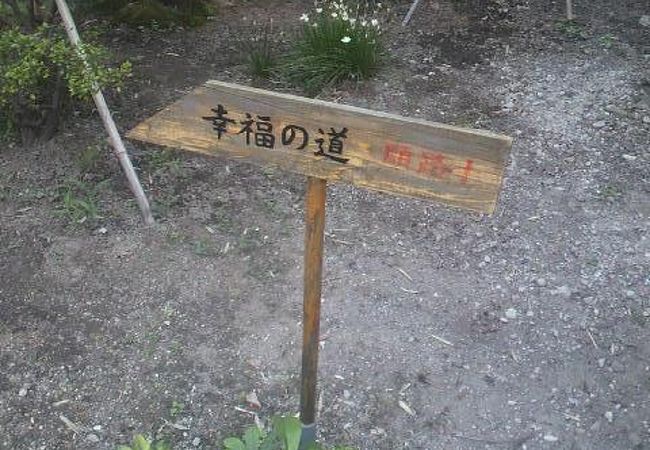 幸福の道の紹介です