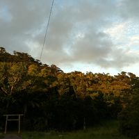 家の裏山の夕暮れ。台風のときはこの山は風よけになるのだろう。