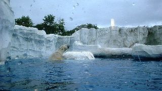 デトロイト動物園