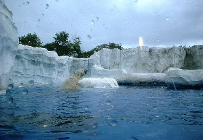 デトロイト動物園