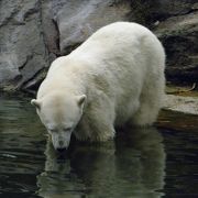 公園の中に動物園がある感じでした