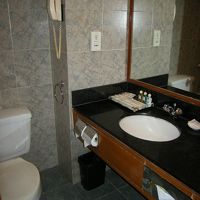 お湯もでます。水洗の水もいきよいよく流れる。トイレットペーパ