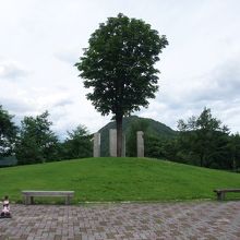 道の駅「利賀」は緑の一里塚です。