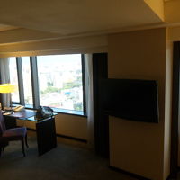 窓が広い。が、日差しが強いので、窓には紫外線防止フィルム。