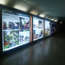 ロータリーの下は、歩行者用地下通路。