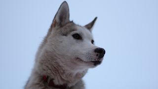 サンタクロースだけじゃない