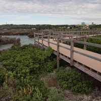 木造の長〜い遊歩道
