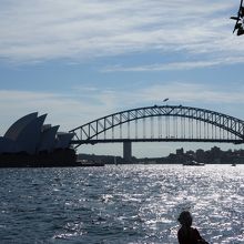 これは別の日に撮った写真です。