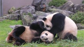 満足度高いです！