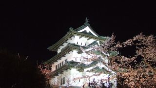 日本一の桜の名所！！