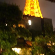 庭から東京タワーの脚が見えました