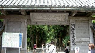 入り口の門と、松並木がよい感じ