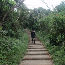 長〜い階段をひたすら登ります