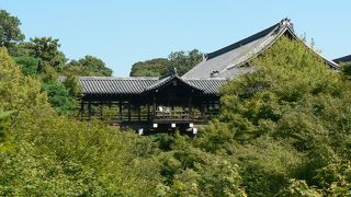 緑に浮かぶ東福寺の名所≪通天橋≫の眺め