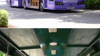 乗り降り自由で便利だけれど・・・・