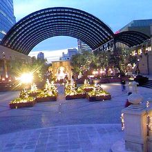 バカラが見えてきました。