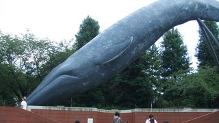 季節を感じる　なぜか懐かしい公園