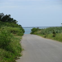 海と道の境は急な坂
