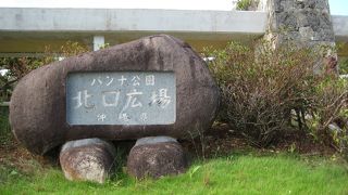 市民のオアシス！