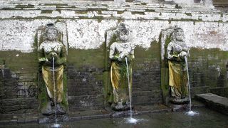 遺跡もいいけど森がすごい！！