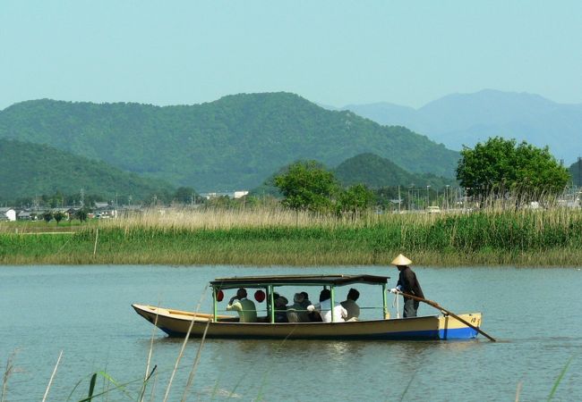 水郷めぐり(近江八幡和船観光協同組合)