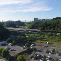 客室からの眺め