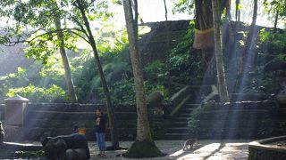 早朝のお散歩は最高