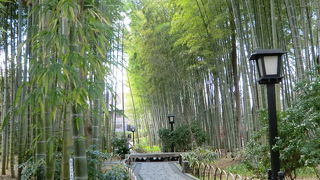 和の雰囲気漂う竹の小路♪