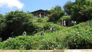 砂金とりは思い出になります。