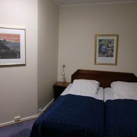 くっついているけれどツインです