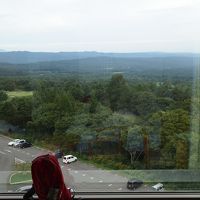 駐車場ビュー。冬はゲレンデビューのお部屋に泊まりたいな〜