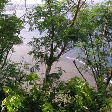 此処から飛び降りたとか。