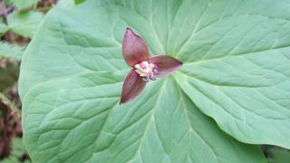 1時間で周れるコース！