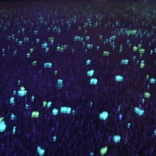 きらきら小径（こみち）