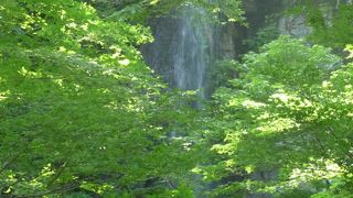 木がかかってよく見えませんでした