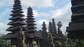 たくさんのメルが美しい