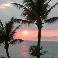 マーメイドガーデンから観た夕日