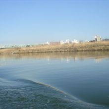 船からの風景です。