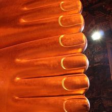 かわいいおみ足です・・