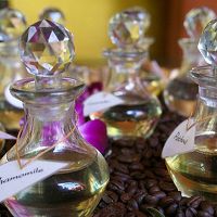 スパでは、その日の体調に合わせたオイルをすすめてくれます。