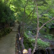 贅沢な日本旅館ライフが楽しめます。