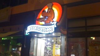 よる、景色を見ながらホットドックをついばむ