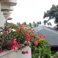 ベランダからの眺望。（ガーデンビュールーム）