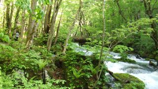 体が浄化されていく感じ