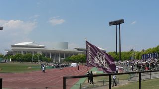 長居公園は一年中何かで楽しめますよ。