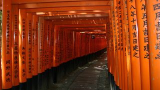 圧巻その広さ、鳥居の多さ