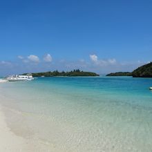 浜からの湾の風景